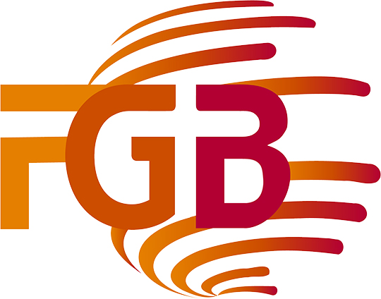 Logo DFMBG: Weltkugel mit Kreuz